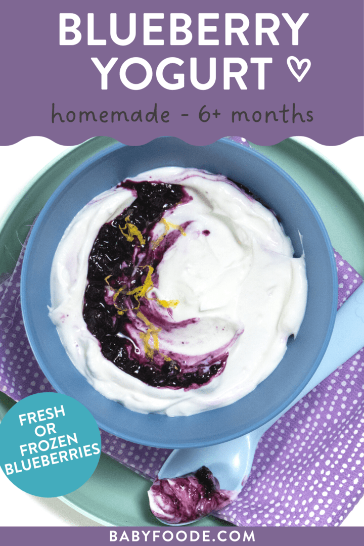 Graphic for post – blueberry yogurt, homemade, 6+ months. Images of a kids blue bowl on top of the kids teal plate full of a blueberry yogurt with lemon zest with a blue spoon resting next to it.