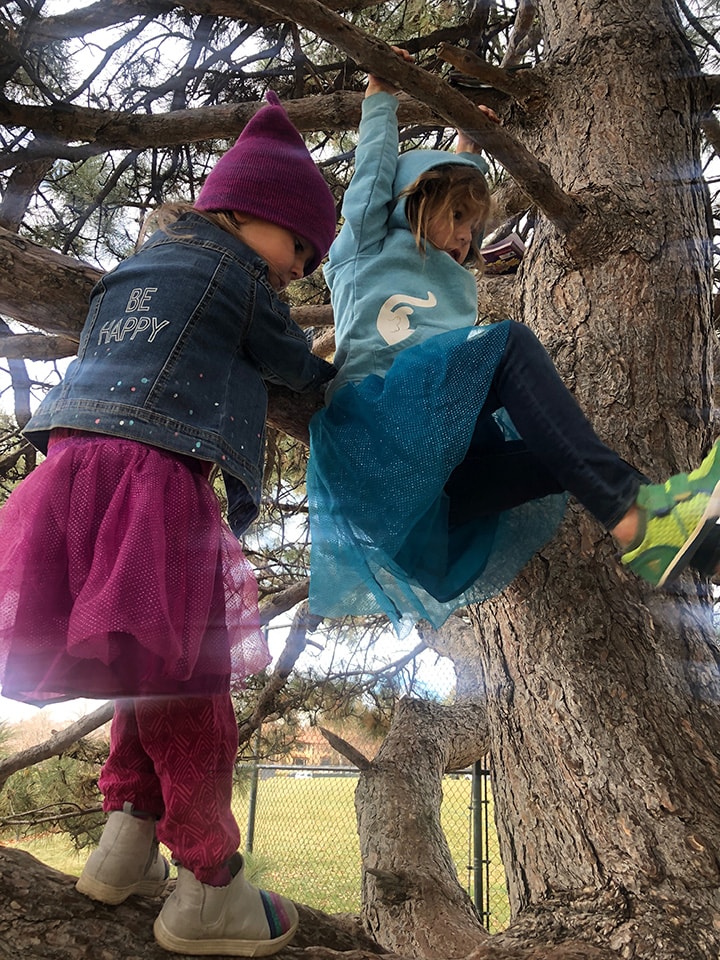 kids climbing a tree.