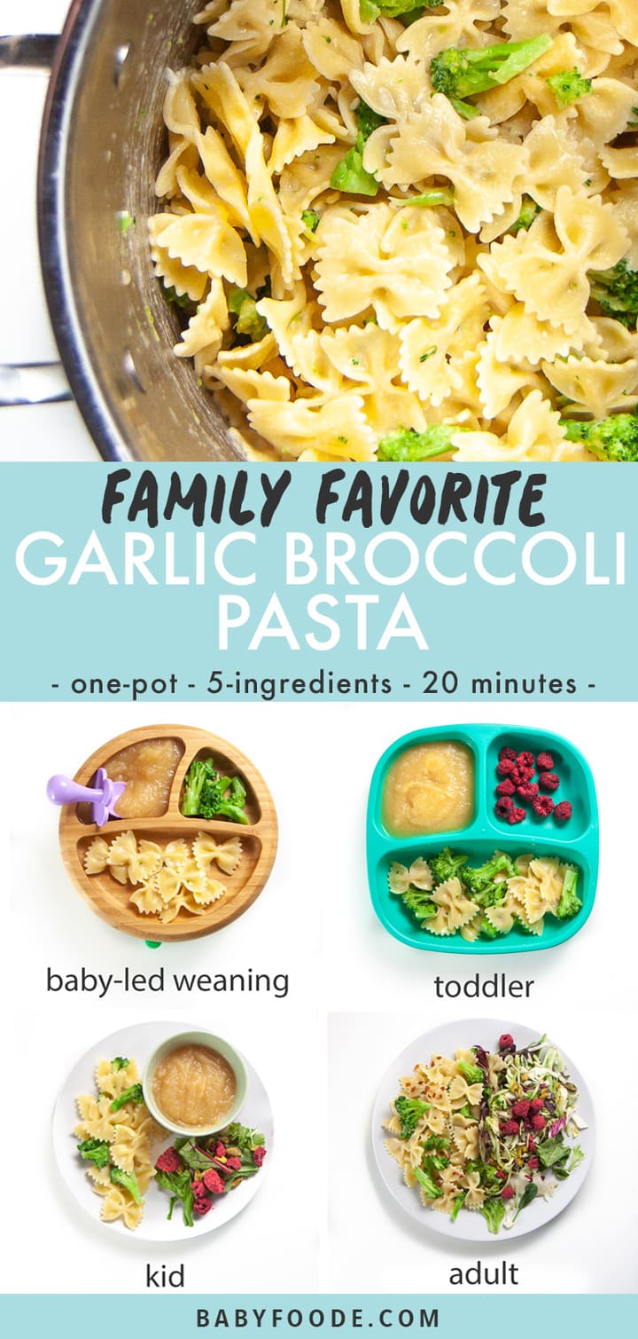 Graphic for post - family favorite garlic broccoli pasta - one pot - 5 ingredients - 20 minutes. Images are of a pot of pasta and a grid of how a baby, toddler, kid and adult would eat it.