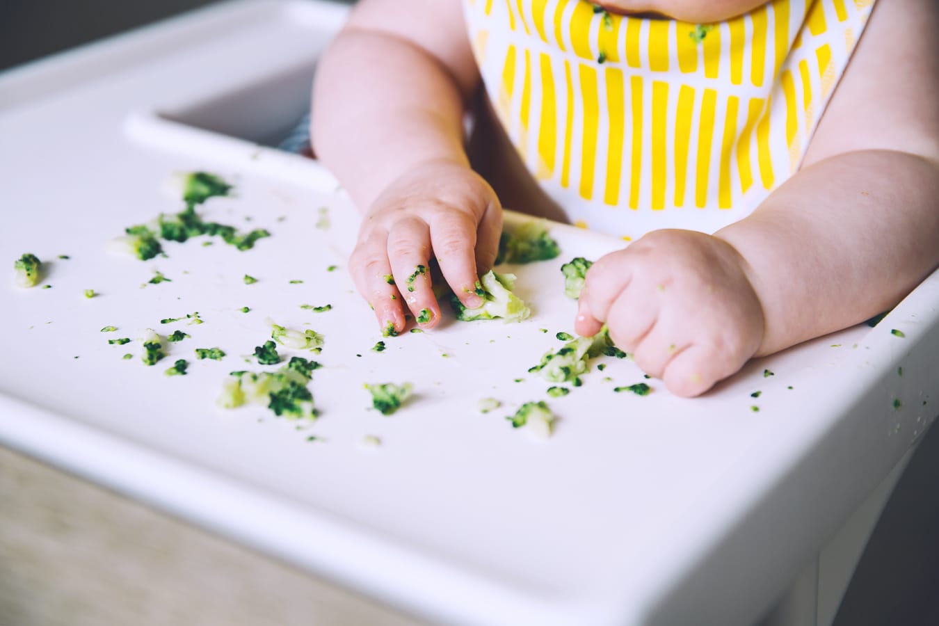 Baby sitting in a white high chair is eating broccoli with a yellow bib on.